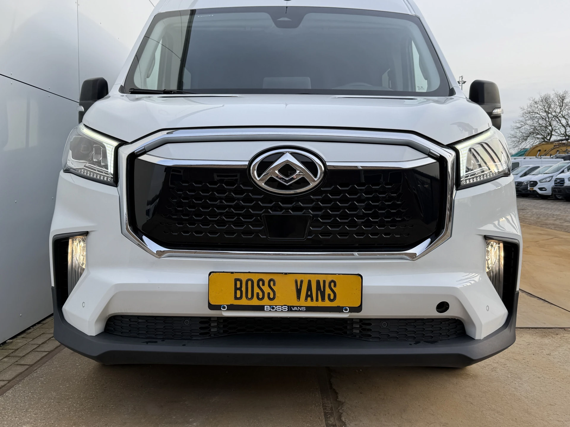 Hoofdafbeelding Maxus eDeliver9