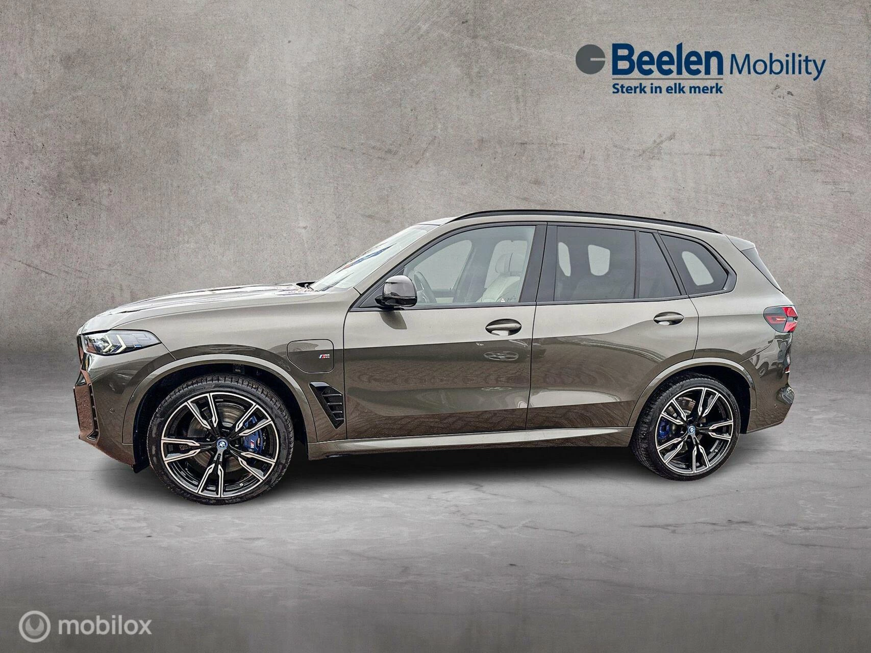 Hoofdafbeelding BMW X5