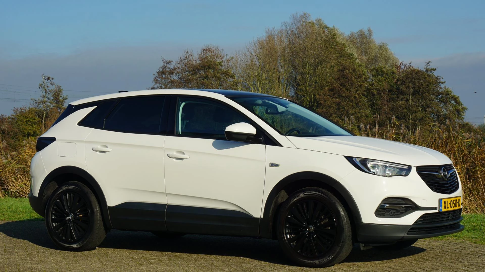 Hoofdafbeelding Opel Grandland X