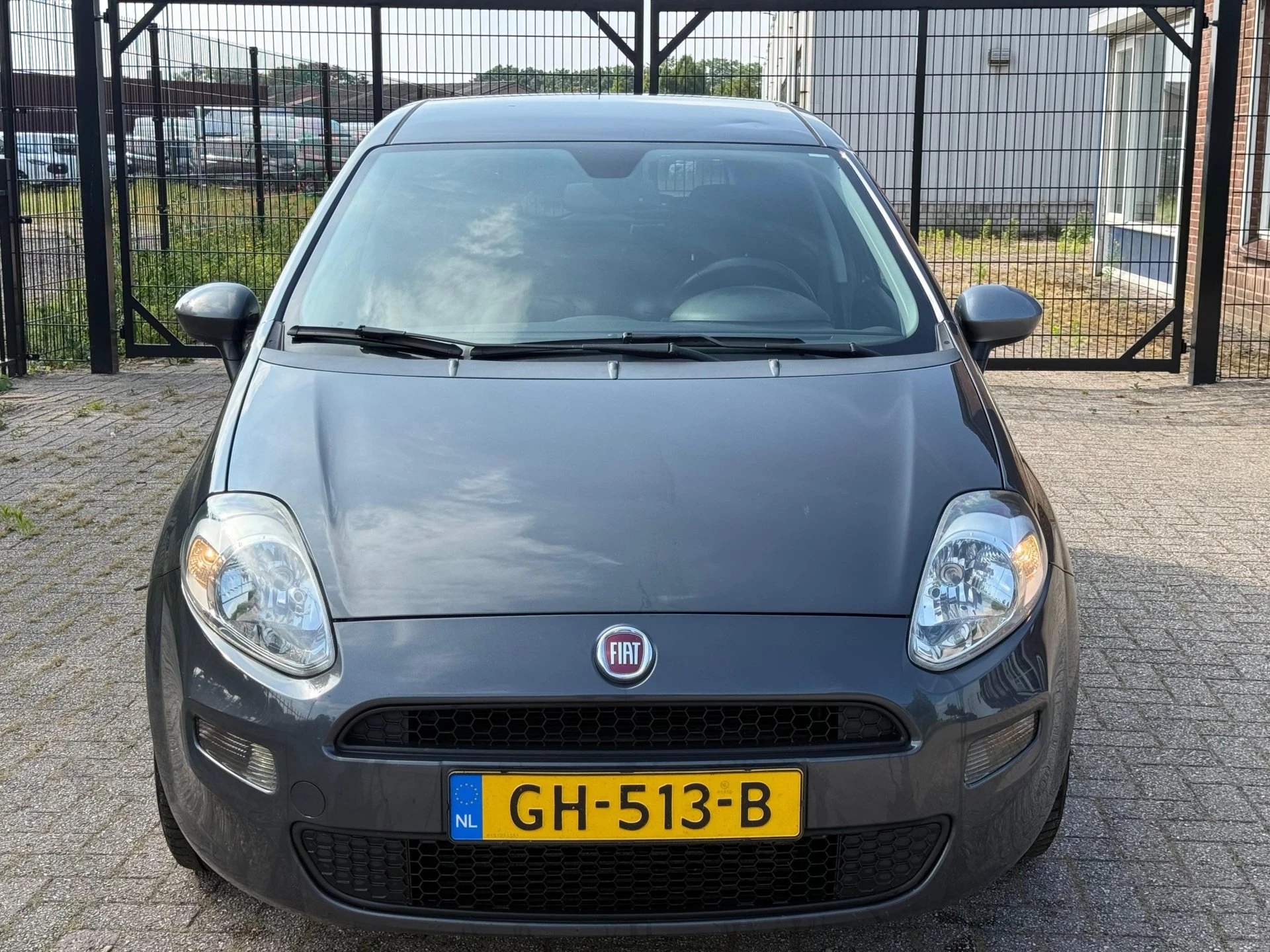Hoofdafbeelding Fiat Punto