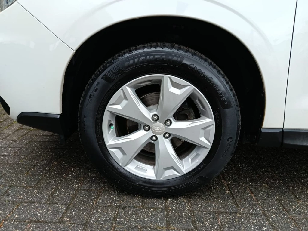 Hoofdafbeelding Subaru Forester