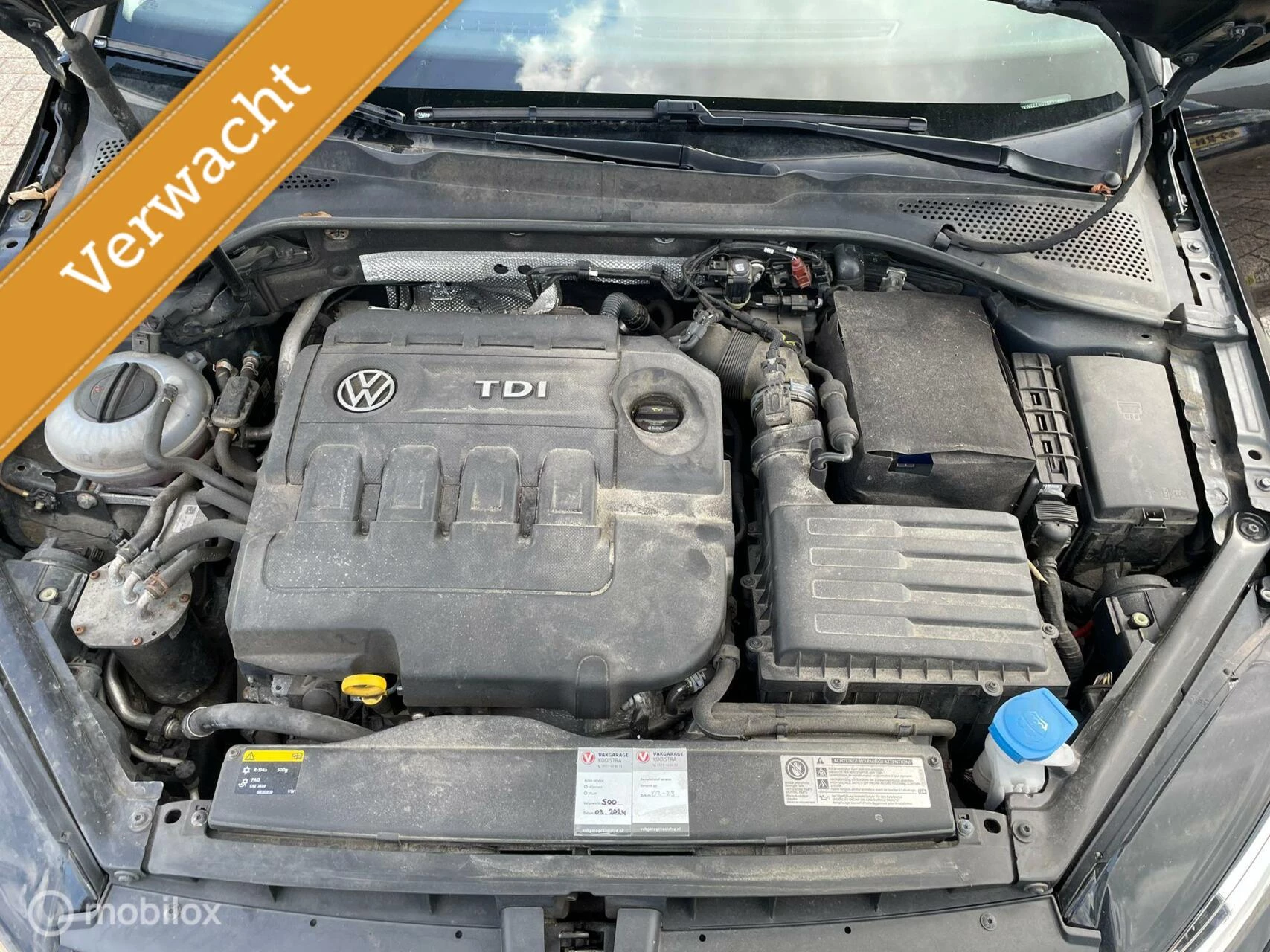 Hoofdafbeelding Volkswagen Golf