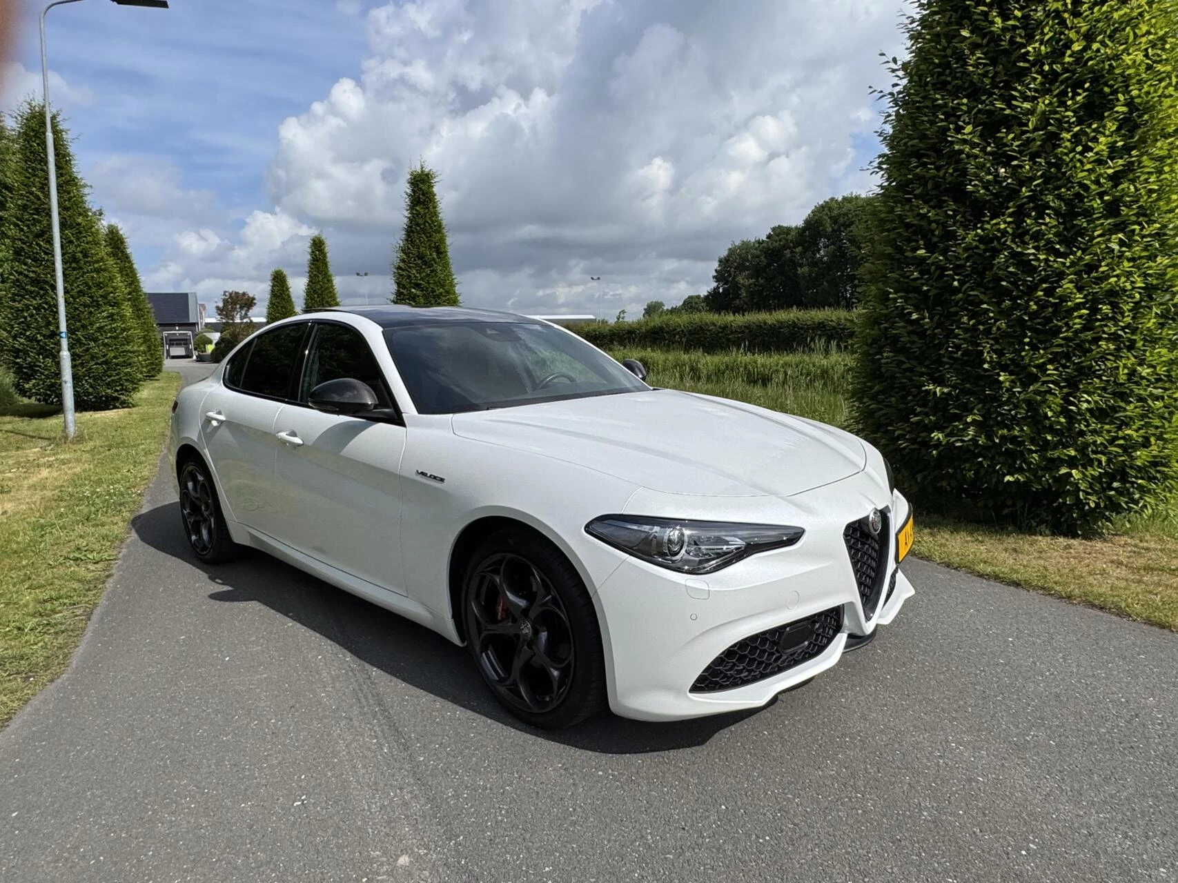 Hoofdafbeelding Alfa Romeo Giulia
