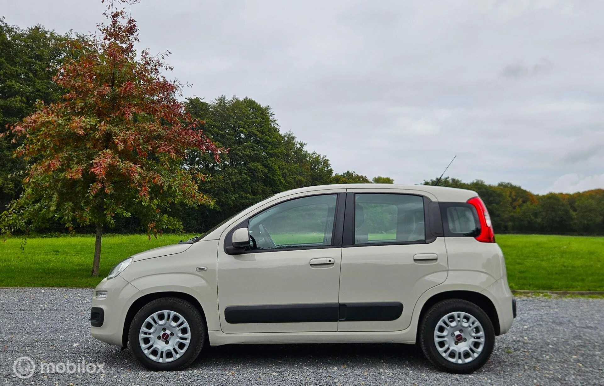 Hoofdafbeelding Fiat Panda