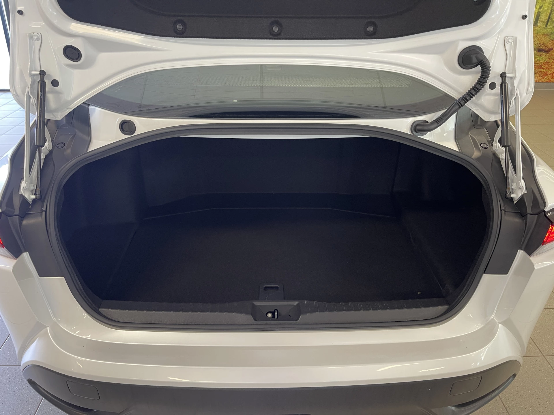 Hoofdafbeelding Toyota Mirai