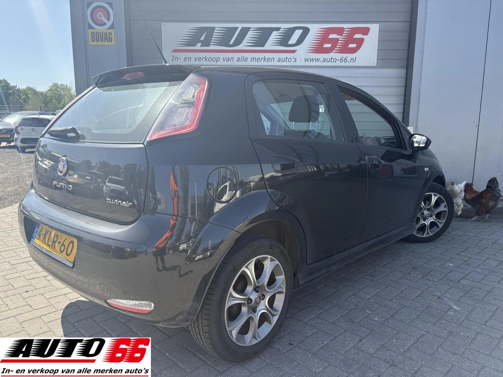 Hoofdafbeelding Fiat Punto
