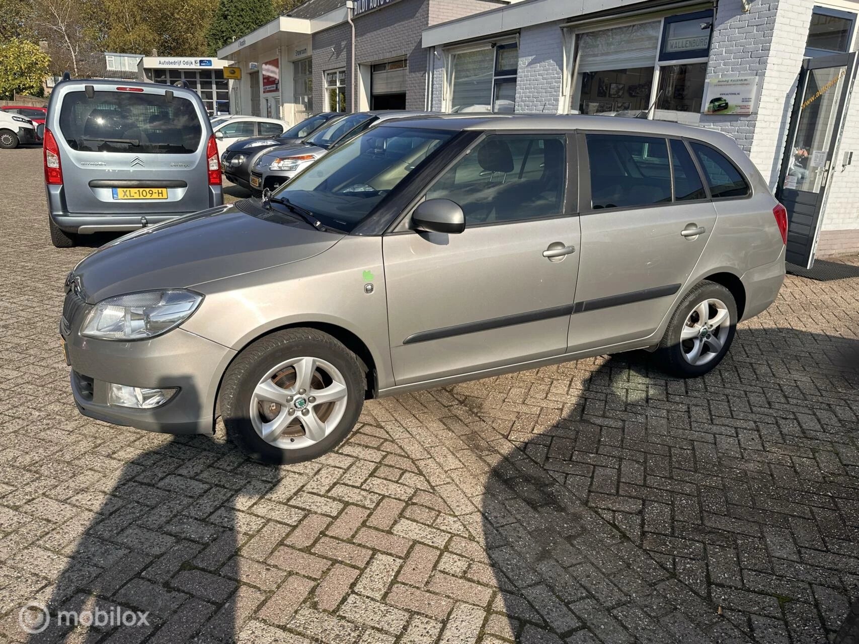 Hoofdafbeelding Škoda Fabia