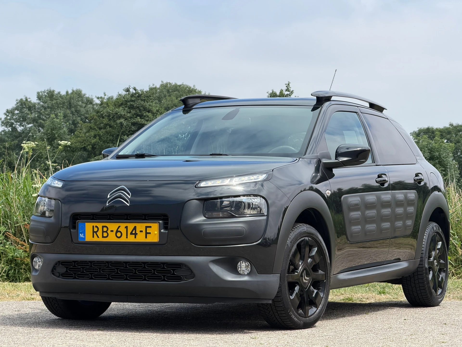 Citroën C4 Cactus