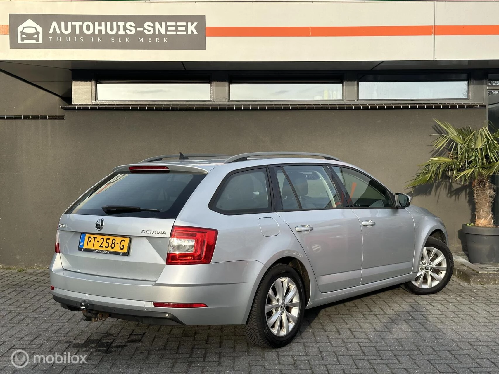 Hoofdafbeelding Škoda Octavia