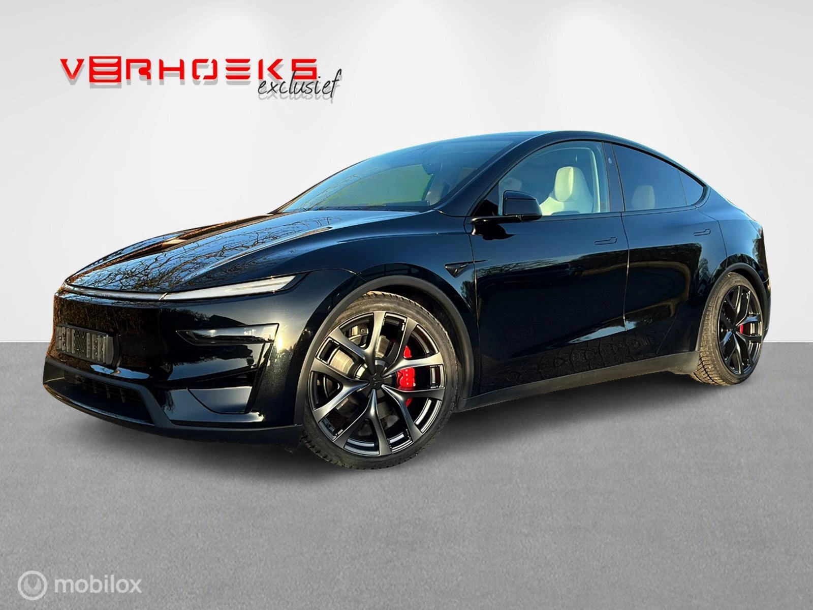 Hoofdafbeelding Tesla Model Y