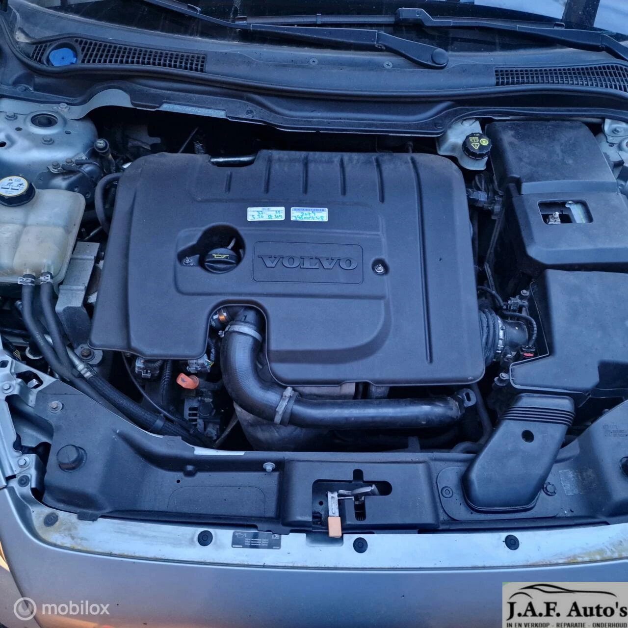 Hoofdafbeelding Volvo V50