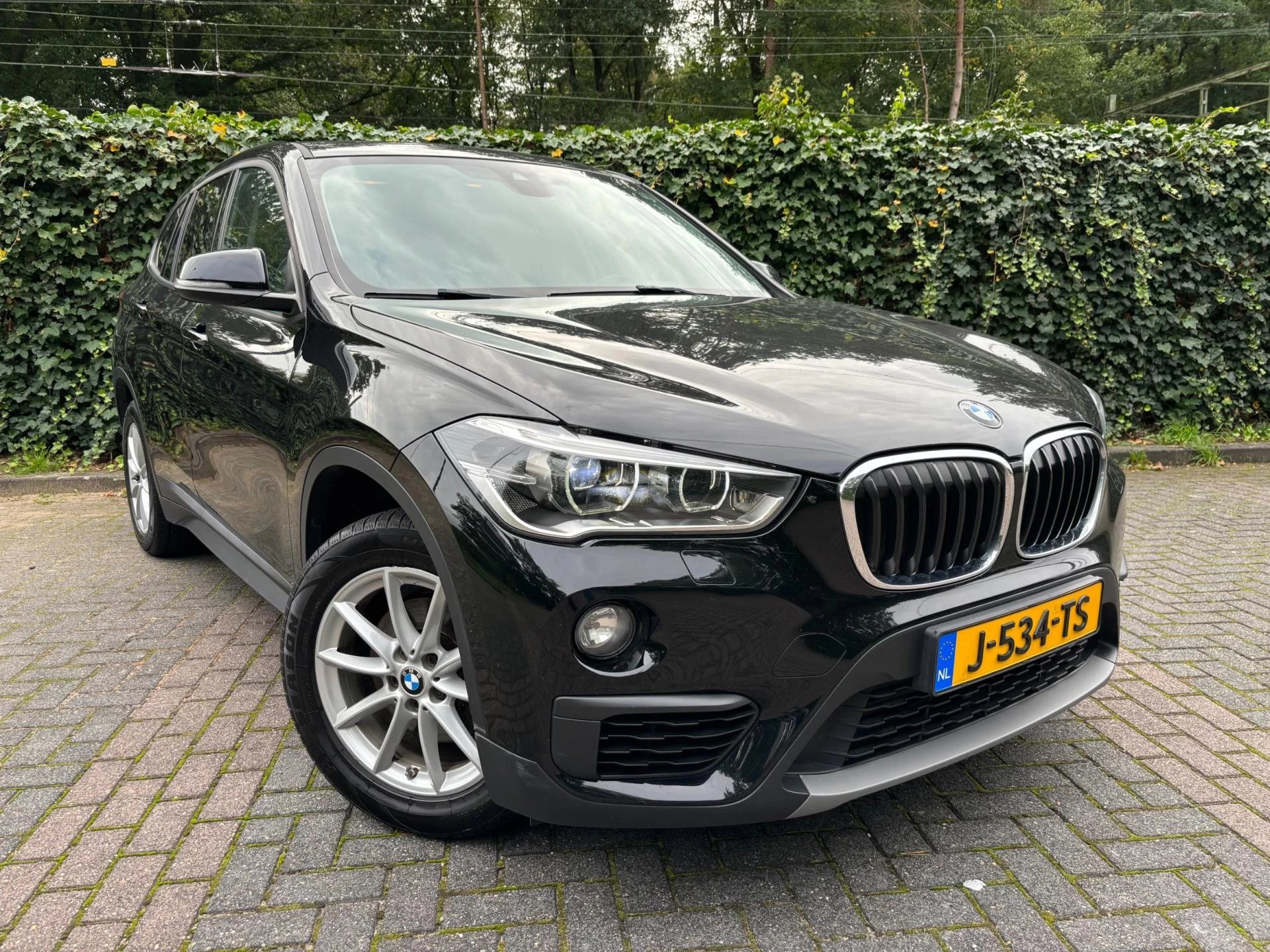 Hoofdafbeelding BMW X1