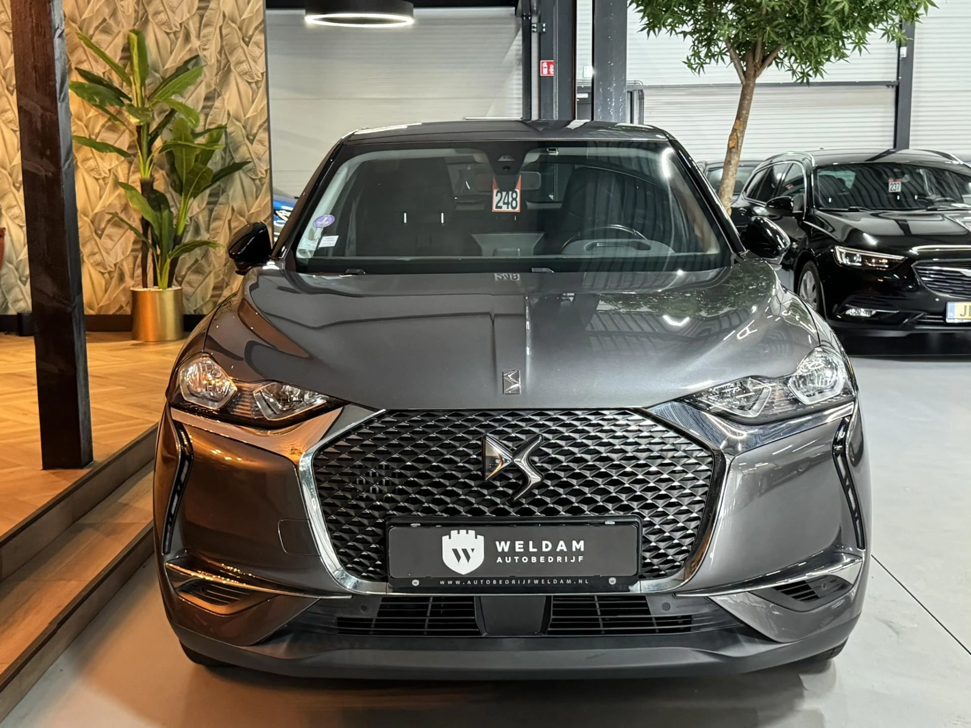 Hoofdafbeelding DS DS 3