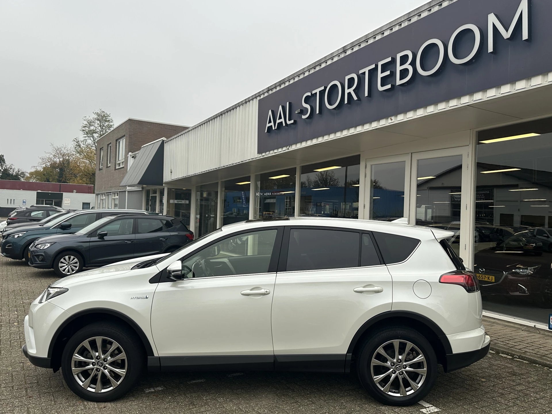 Hoofdafbeelding Toyota RAV4