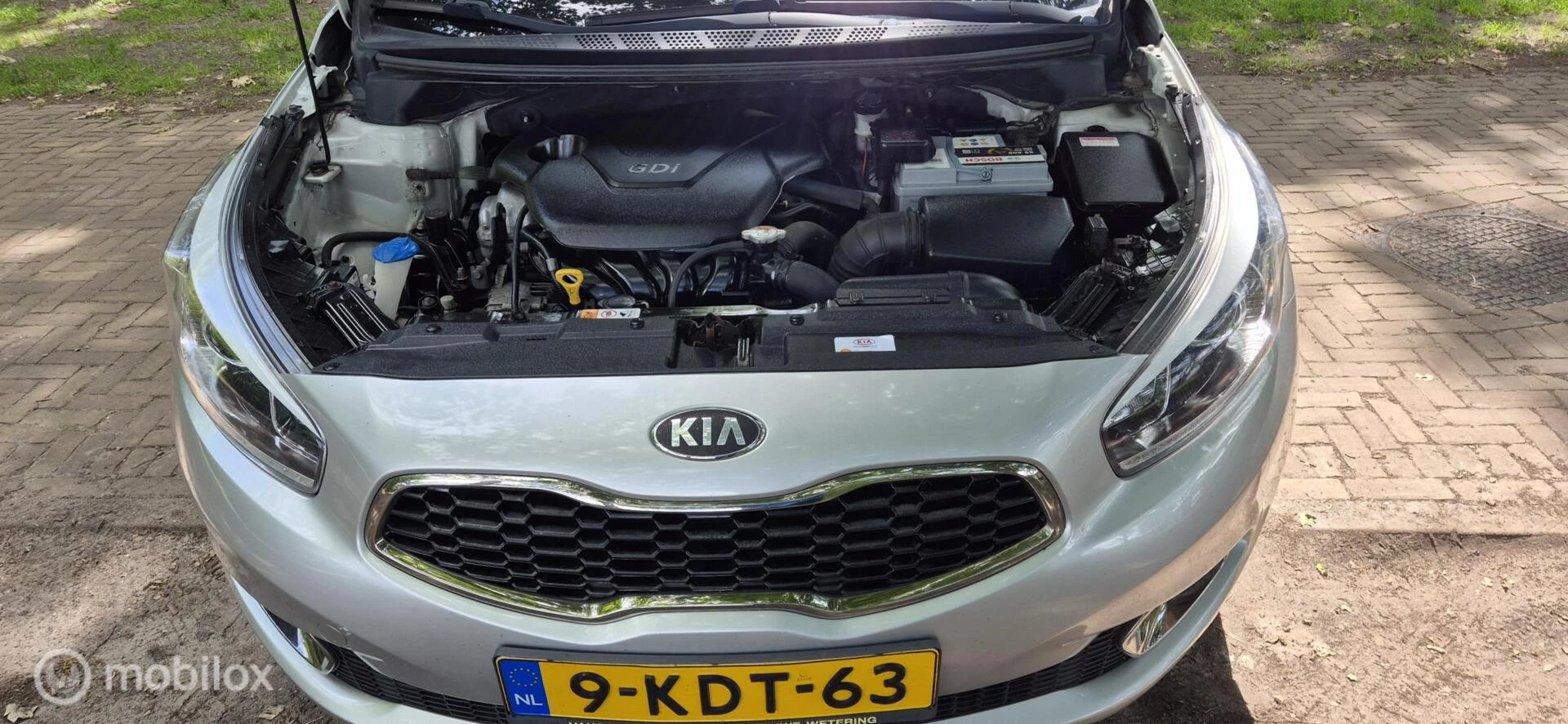 Hoofdafbeelding Kia cee'd
