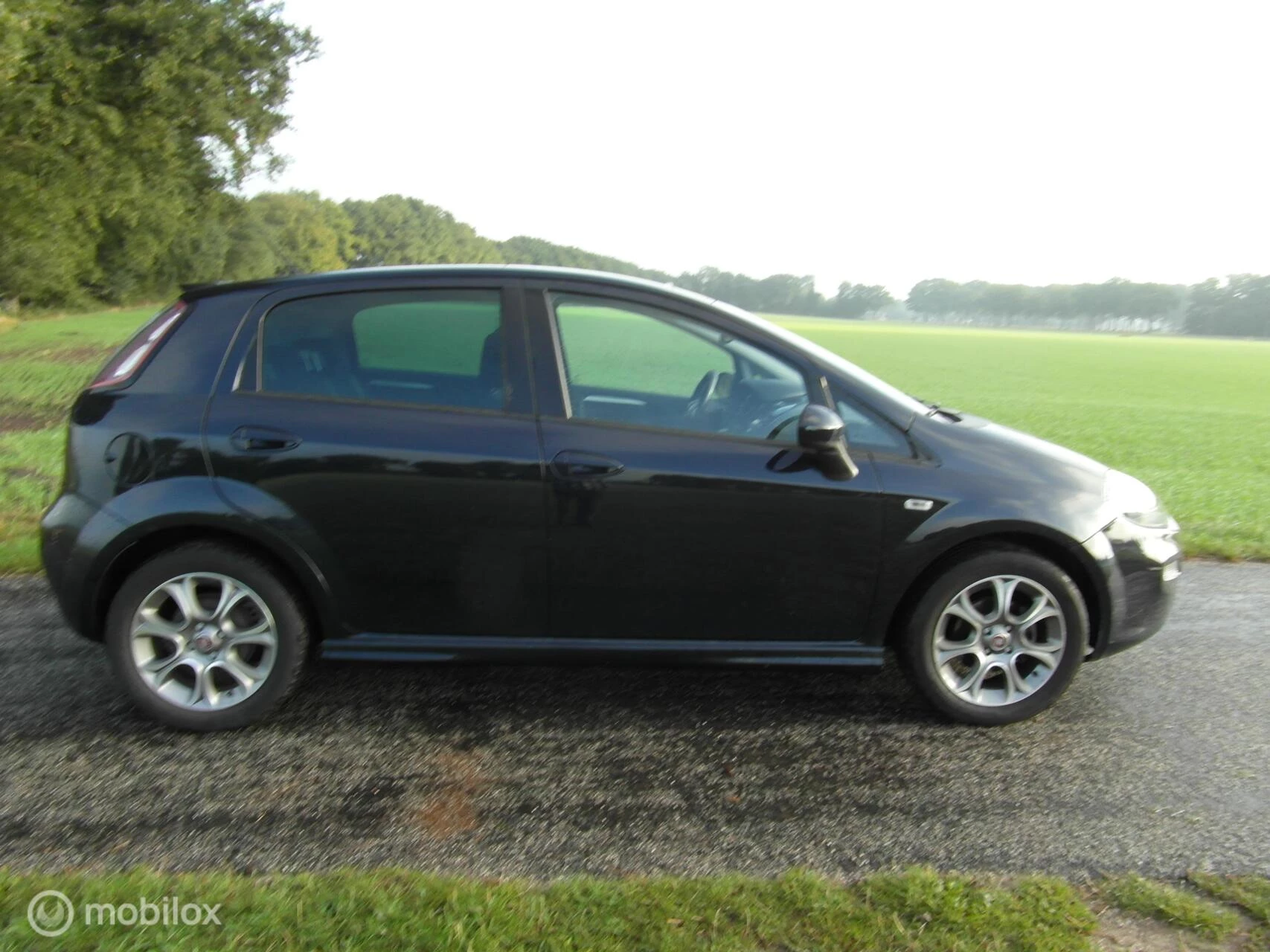 Hoofdafbeelding Fiat Punto