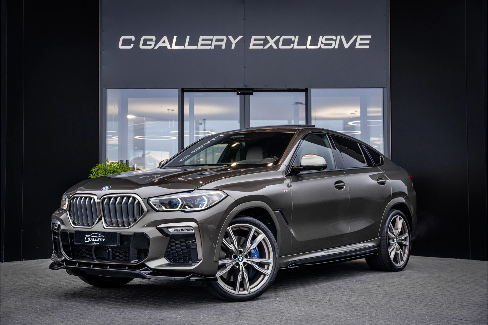 Hoofdafbeelding BMW X6
