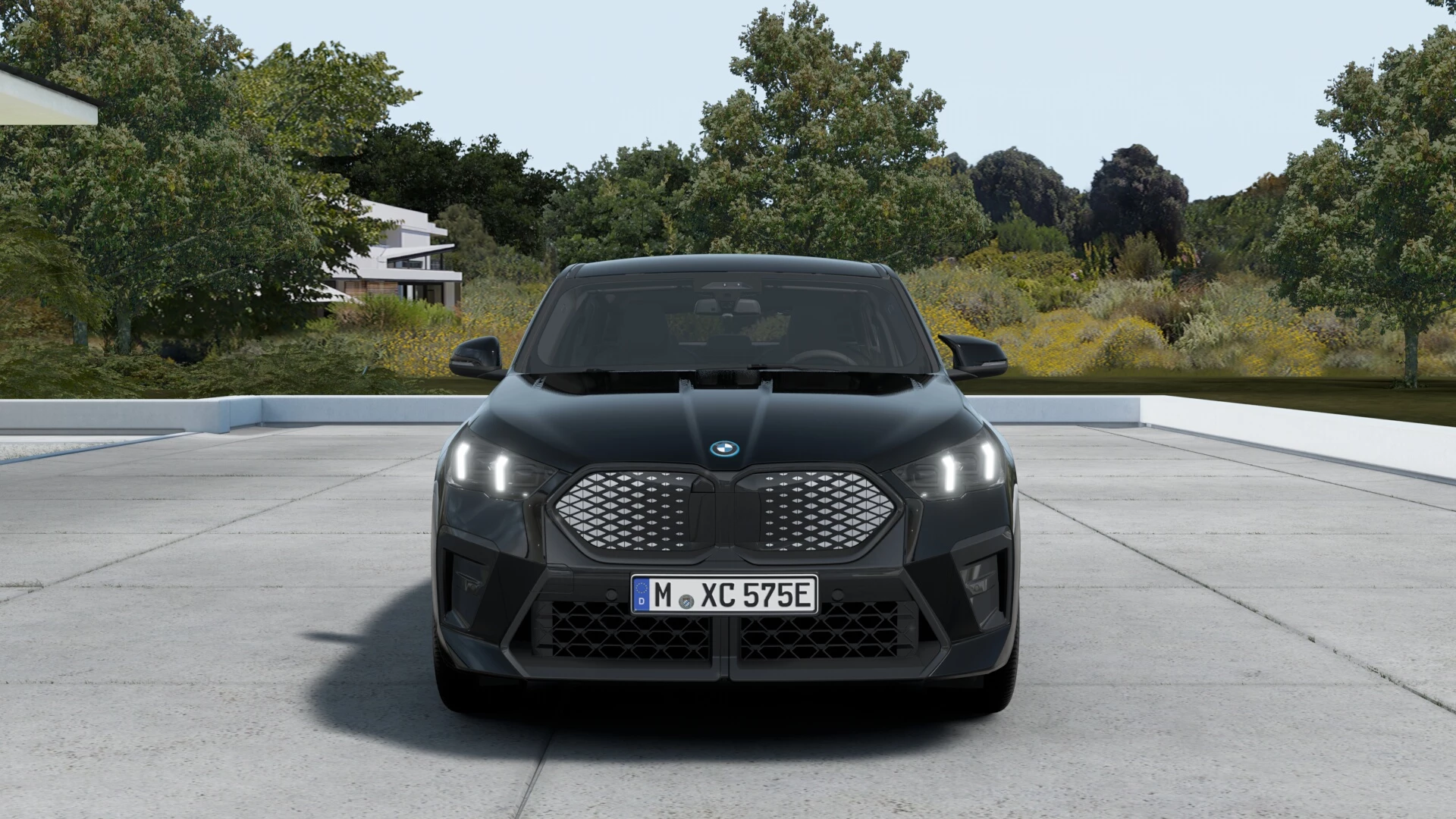 Hoofdafbeelding BMW iX2