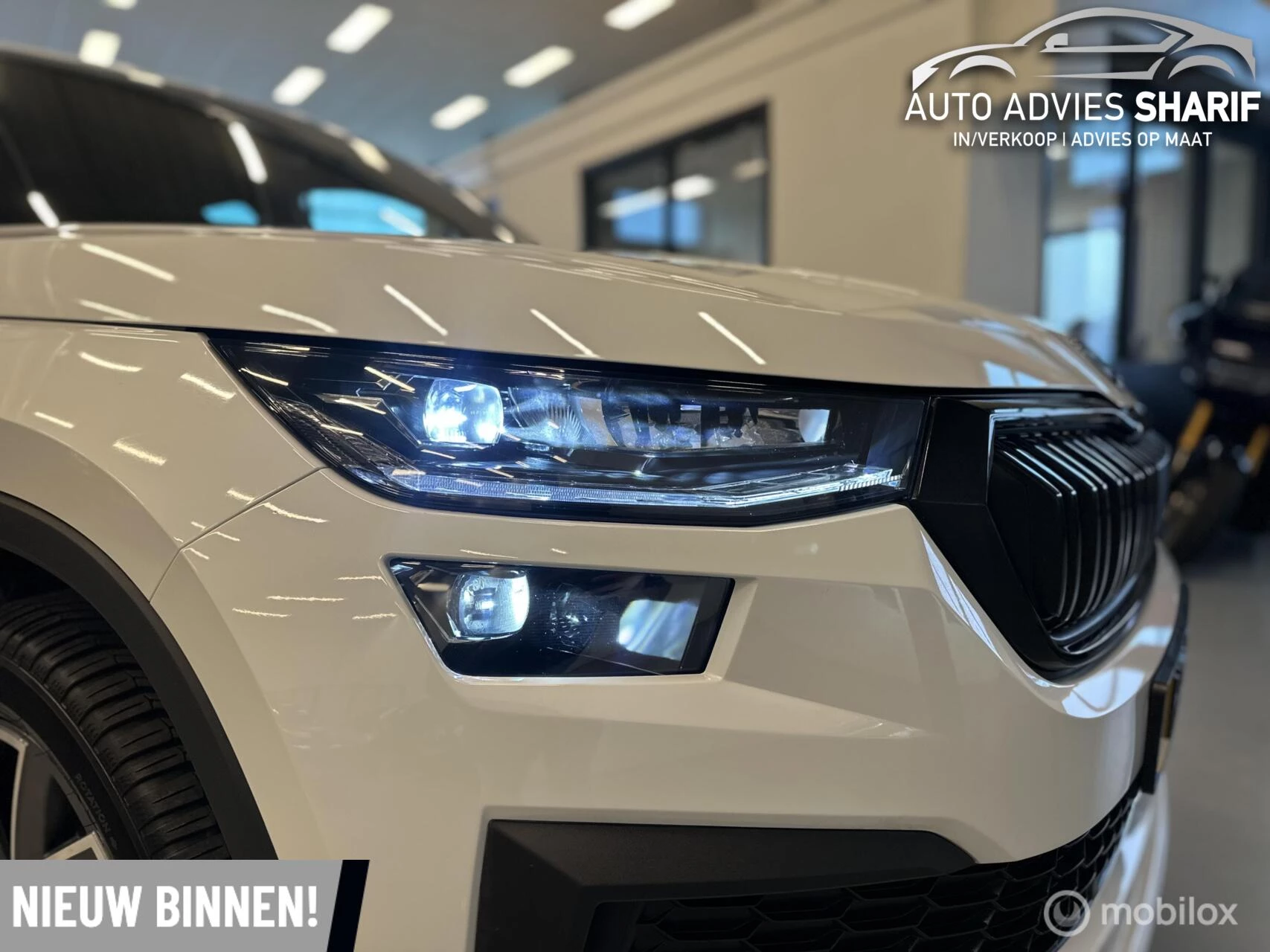 Hoofdafbeelding Škoda Kodiaq