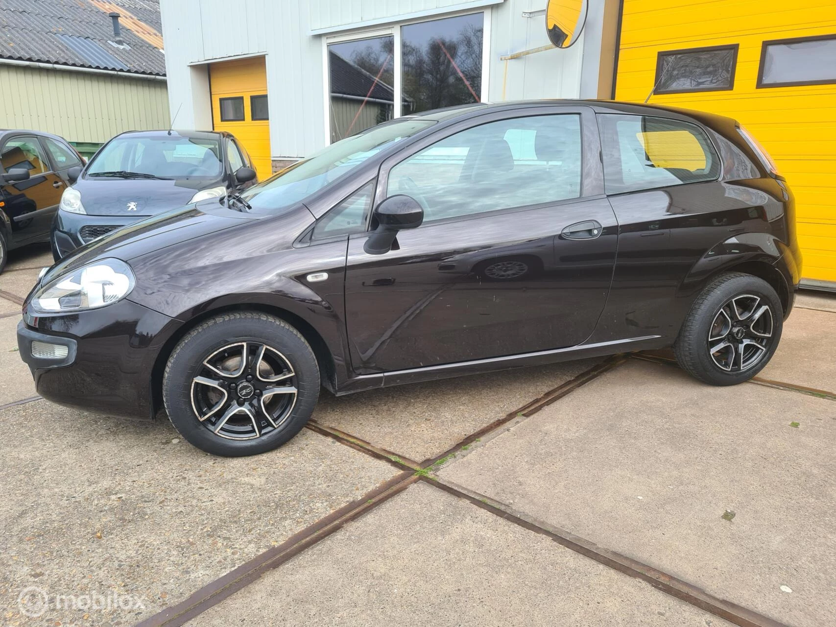 Hoofdafbeelding Fiat Punto