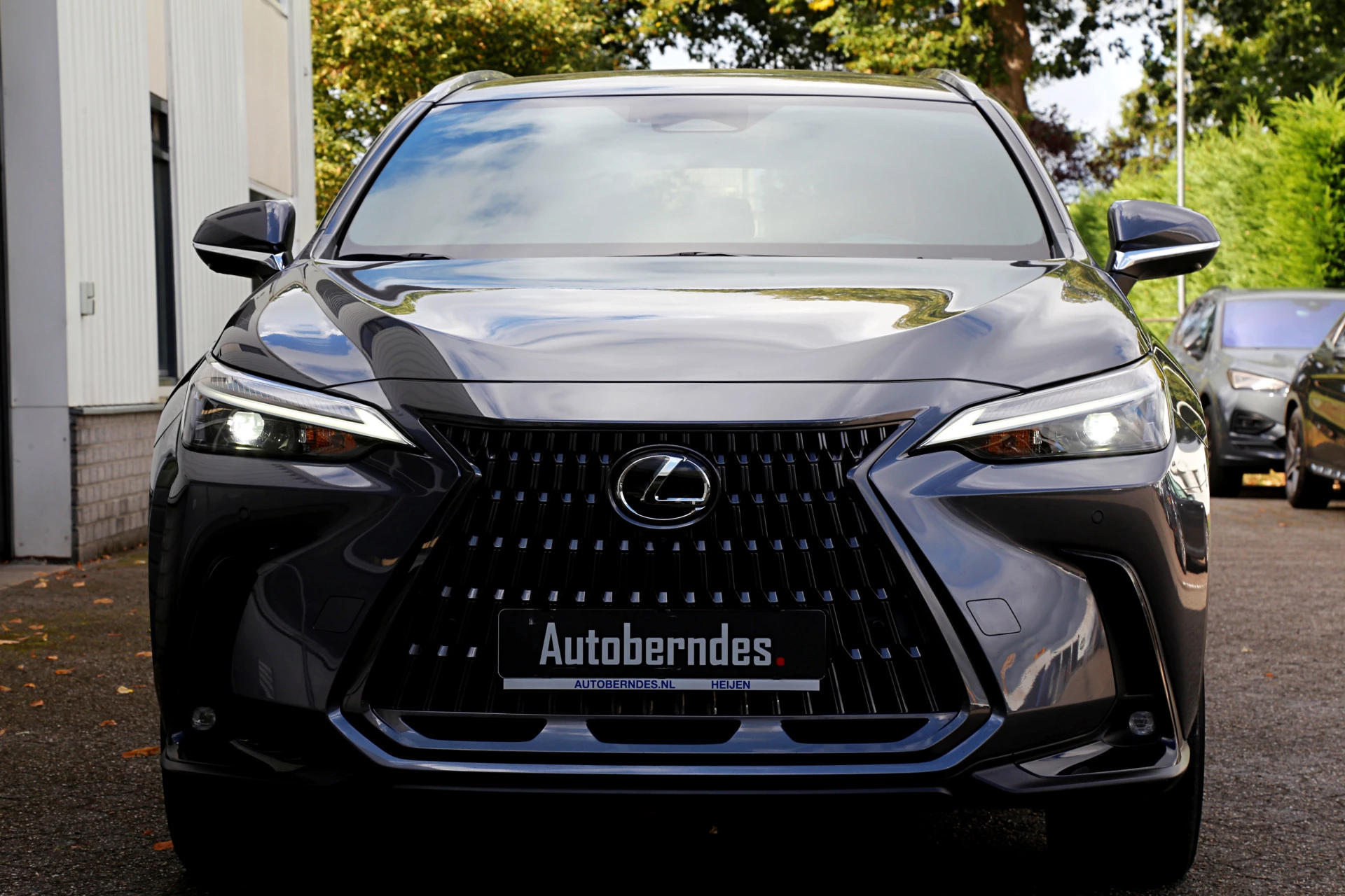 Hoofdafbeelding Lexus NX