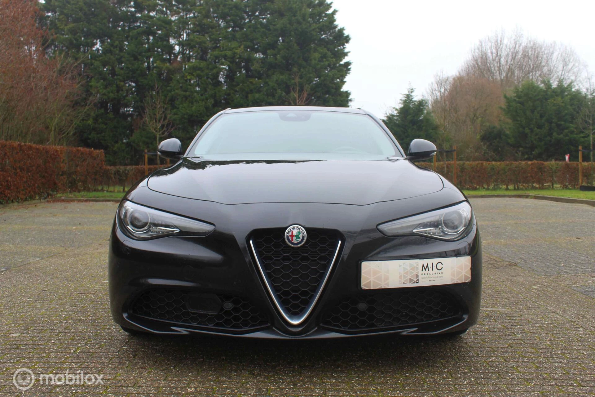 Hoofdafbeelding Alfa Romeo Giulia