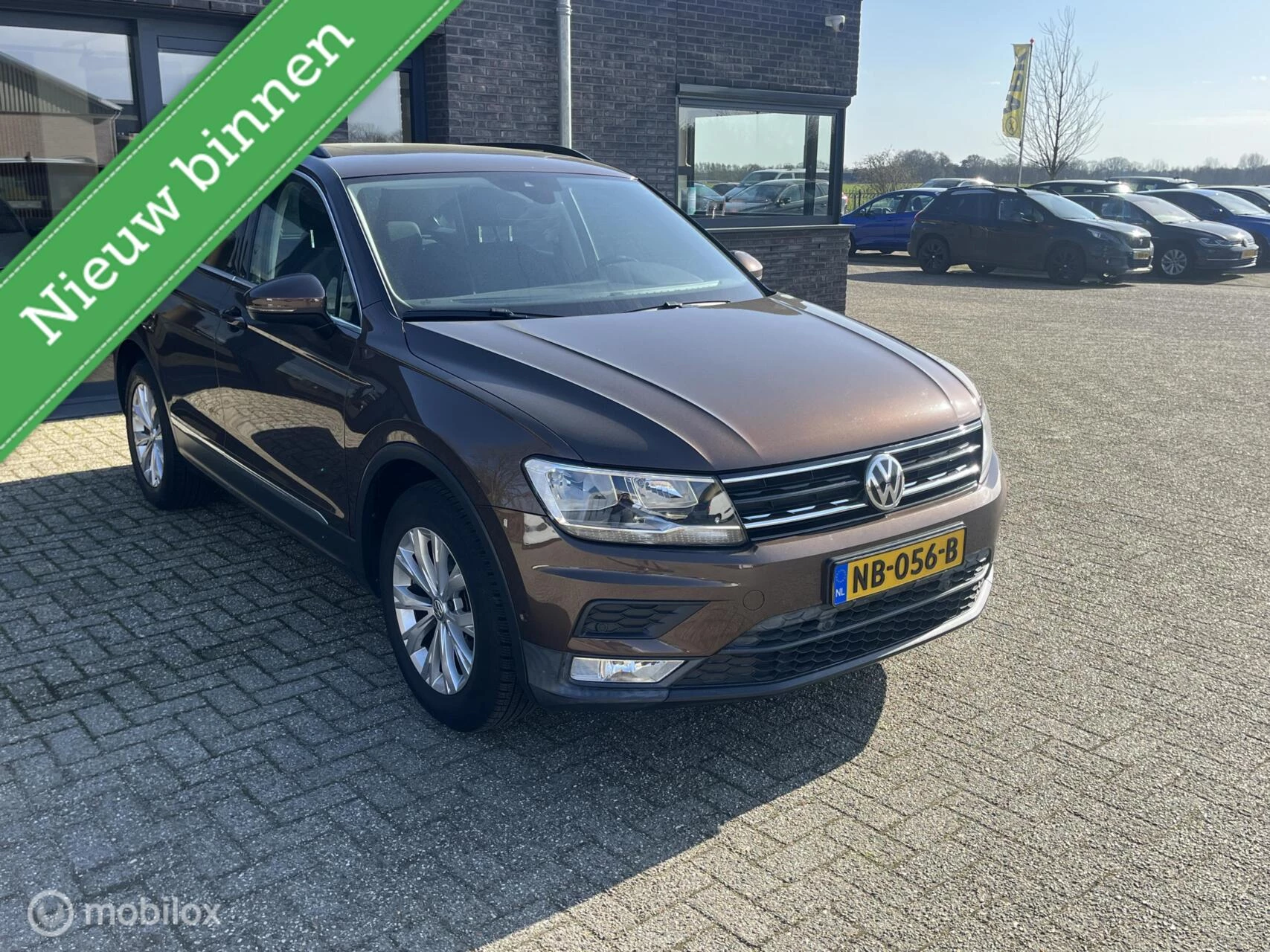 Hoofdafbeelding Volkswagen Tiguan