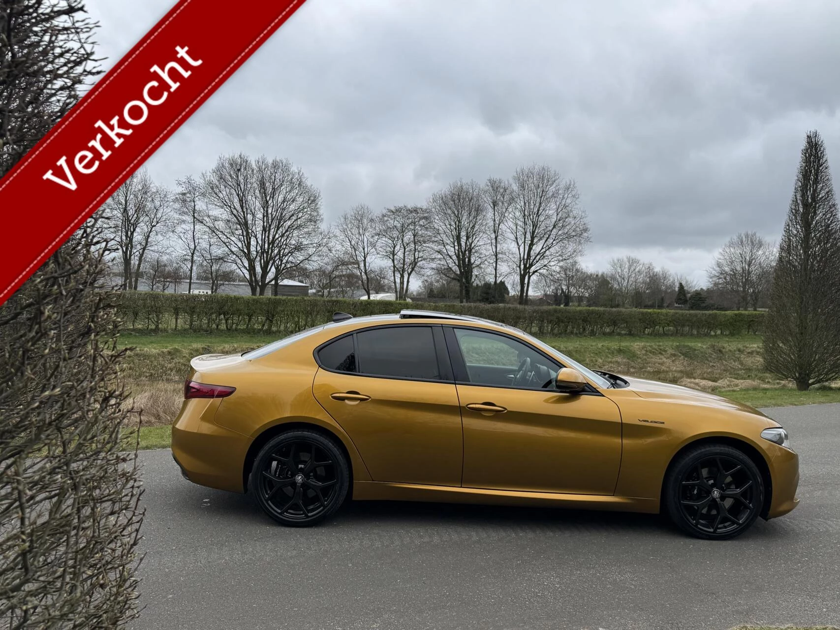 Hoofdafbeelding Alfa Romeo Giulia