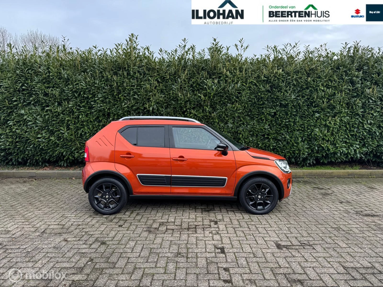 Hoofdafbeelding Suzuki Ignis