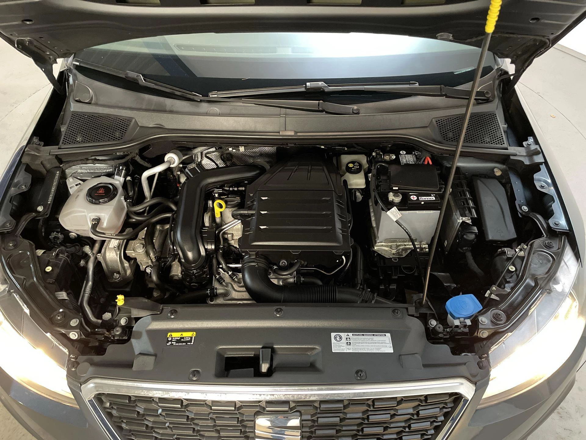 Hoofdafbeelding SEAT Arona