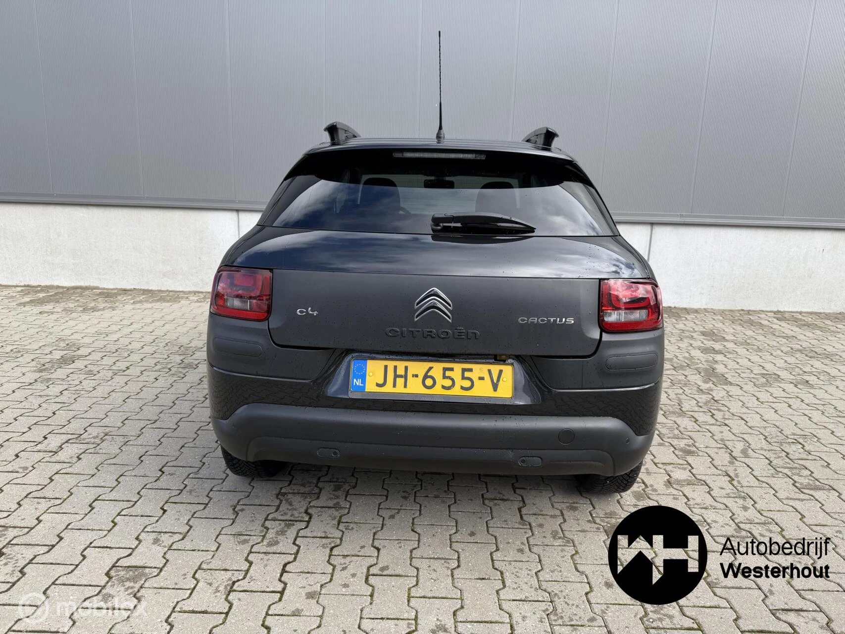 Hoofdafbeelding Citroën C4 Cactus