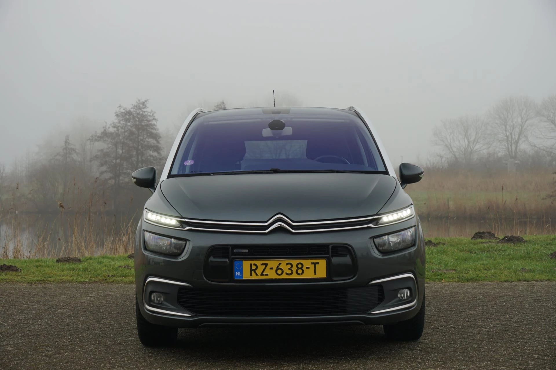 Hoofdafbeelding Citroën Grand C4 Picasso