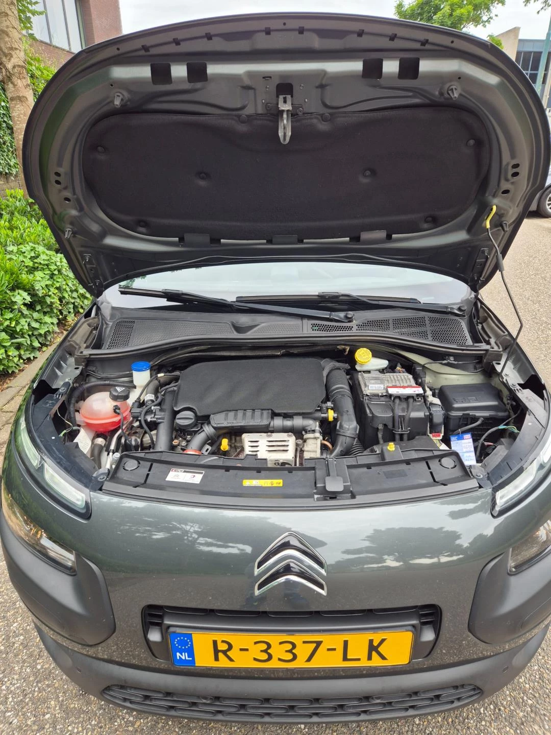 Hoofdafbeelding Citroën C4 Cactus