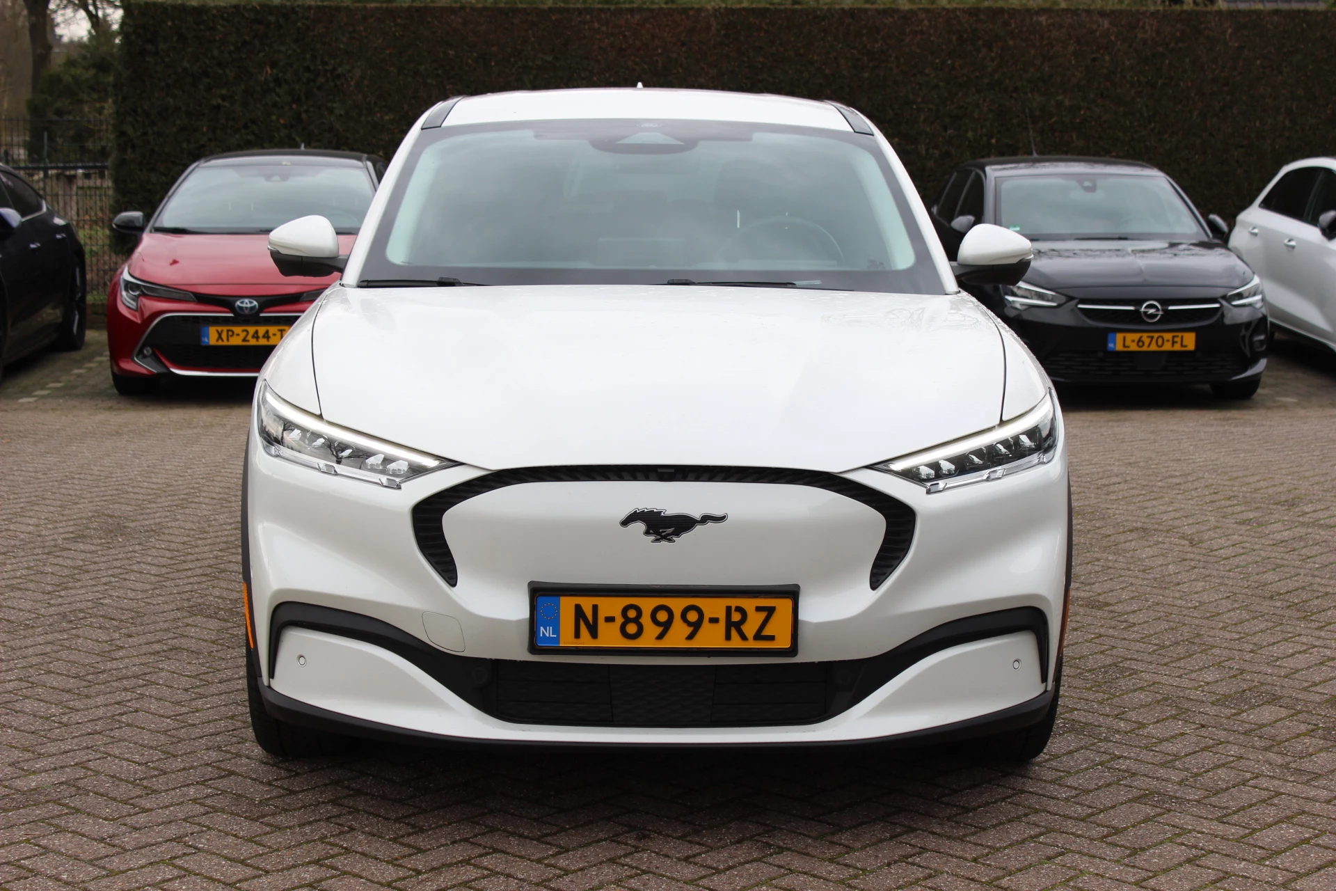 Hoofdafbeelding Ford Mustang Mach-E