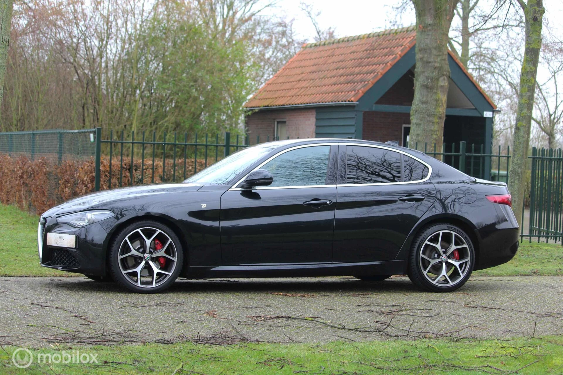 Hoofdafbeelding Alfa Romeo Giulia