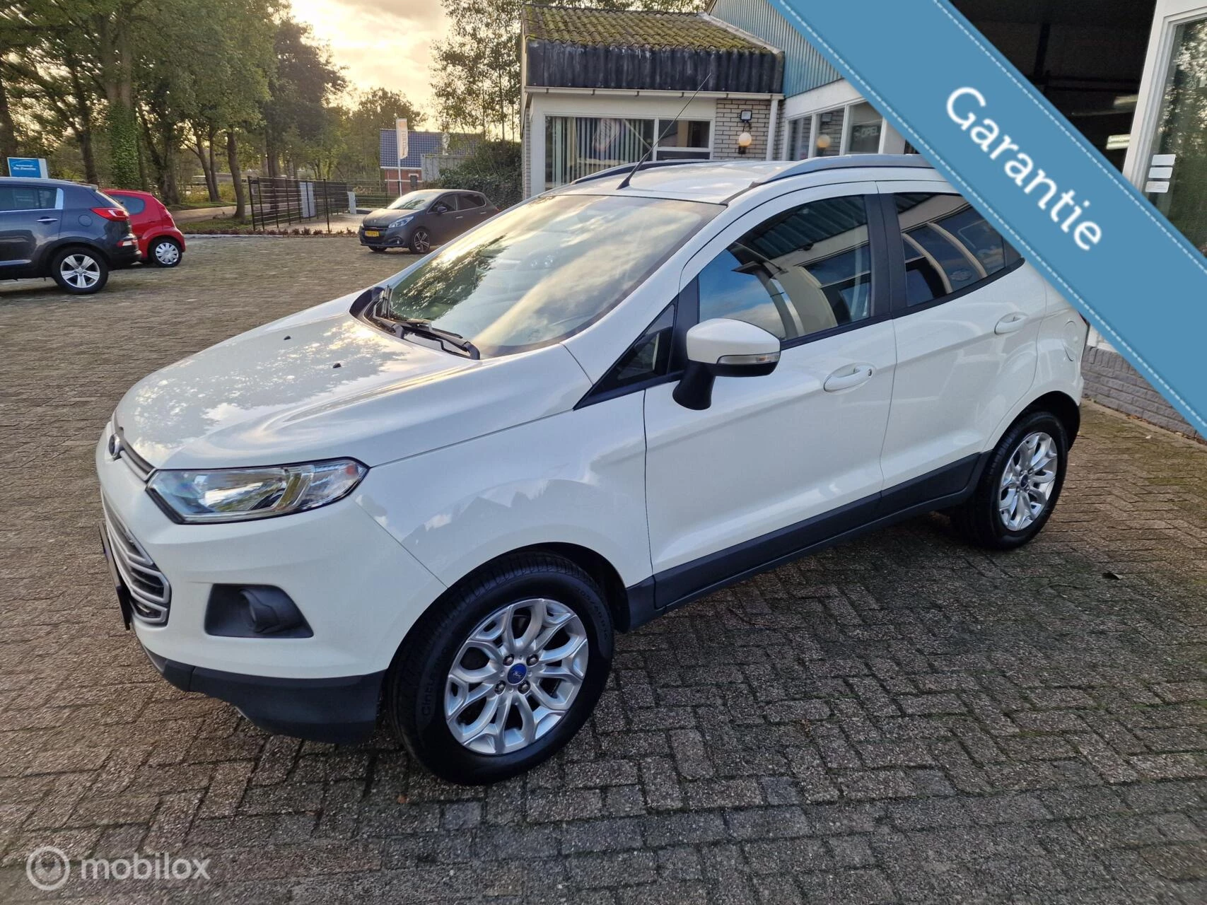 Hoofdafbeelding Ford EcoSport