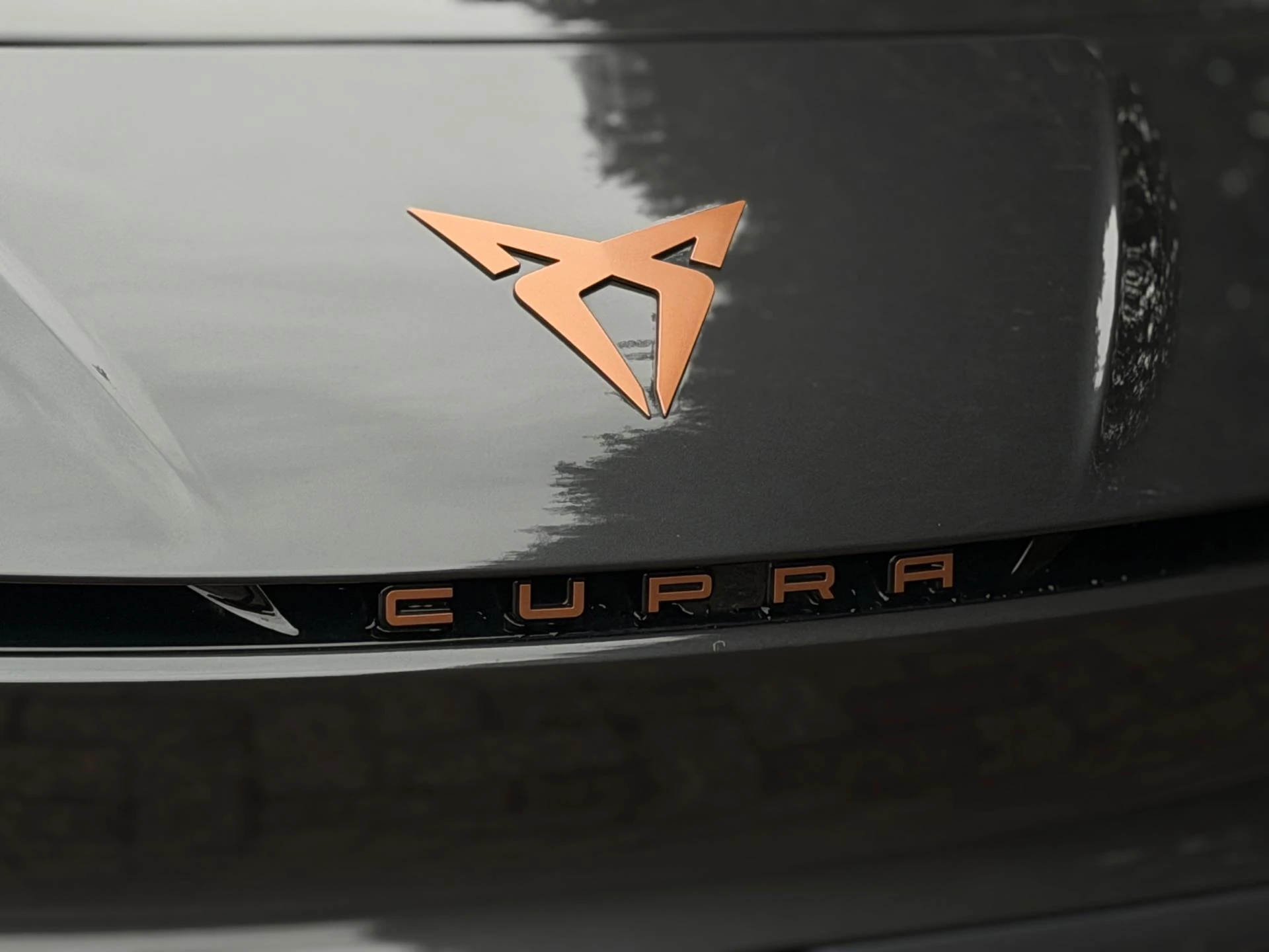 Hoofdafbeelding CUPRA Born