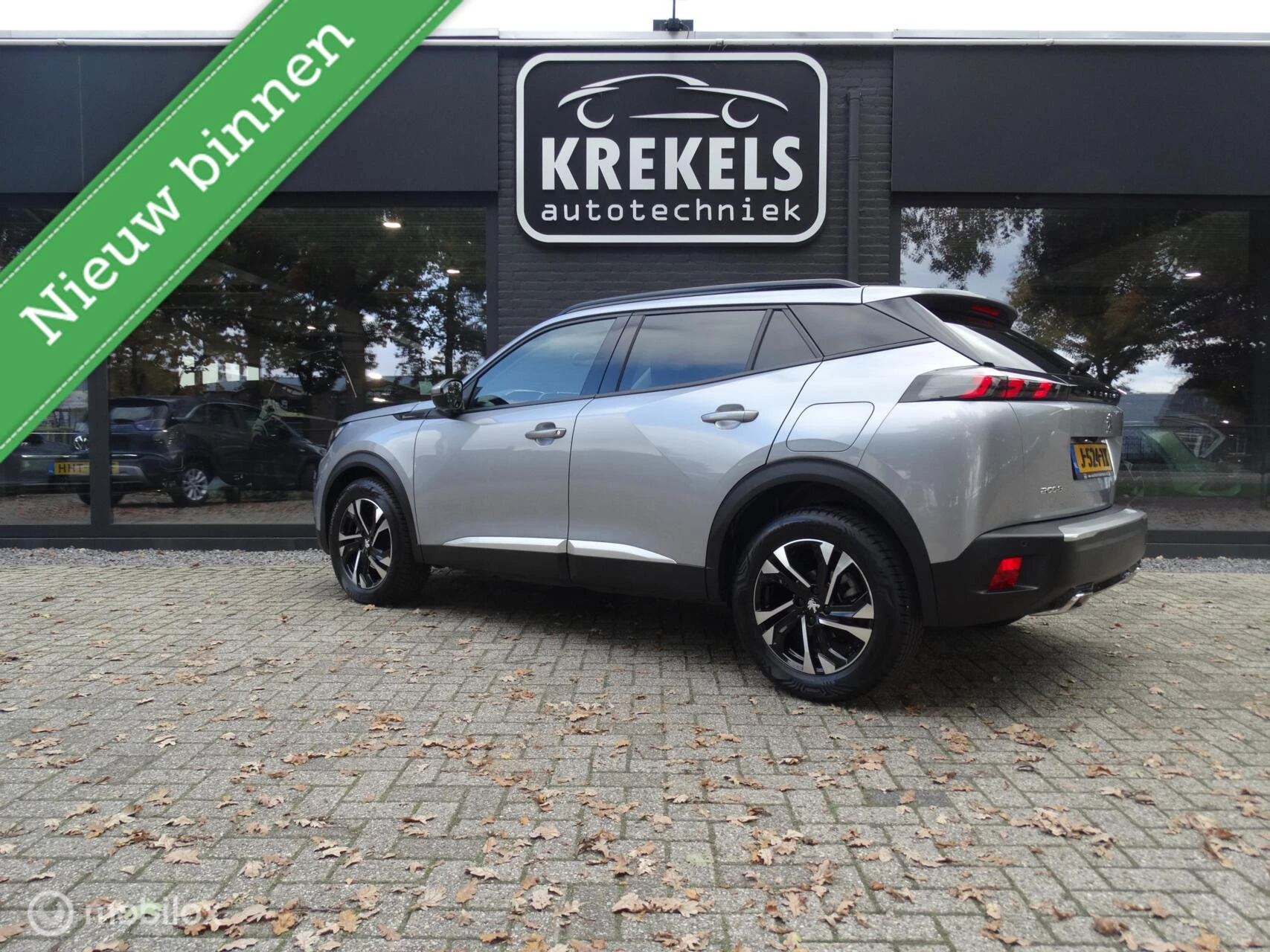 Hoofdafbeelding Peugeot 2008