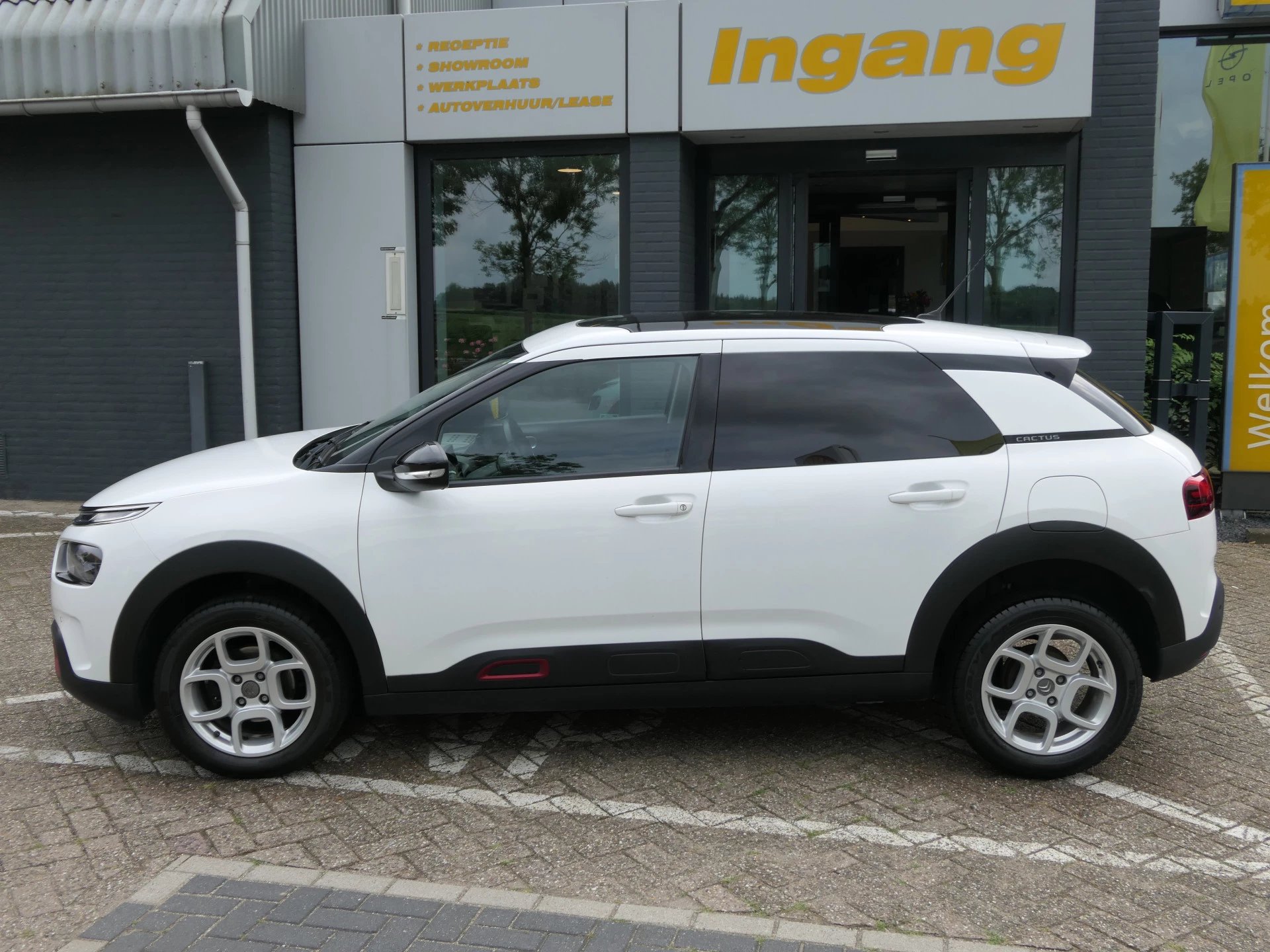 Hoofdafbeelding Citroën C4 Cactus