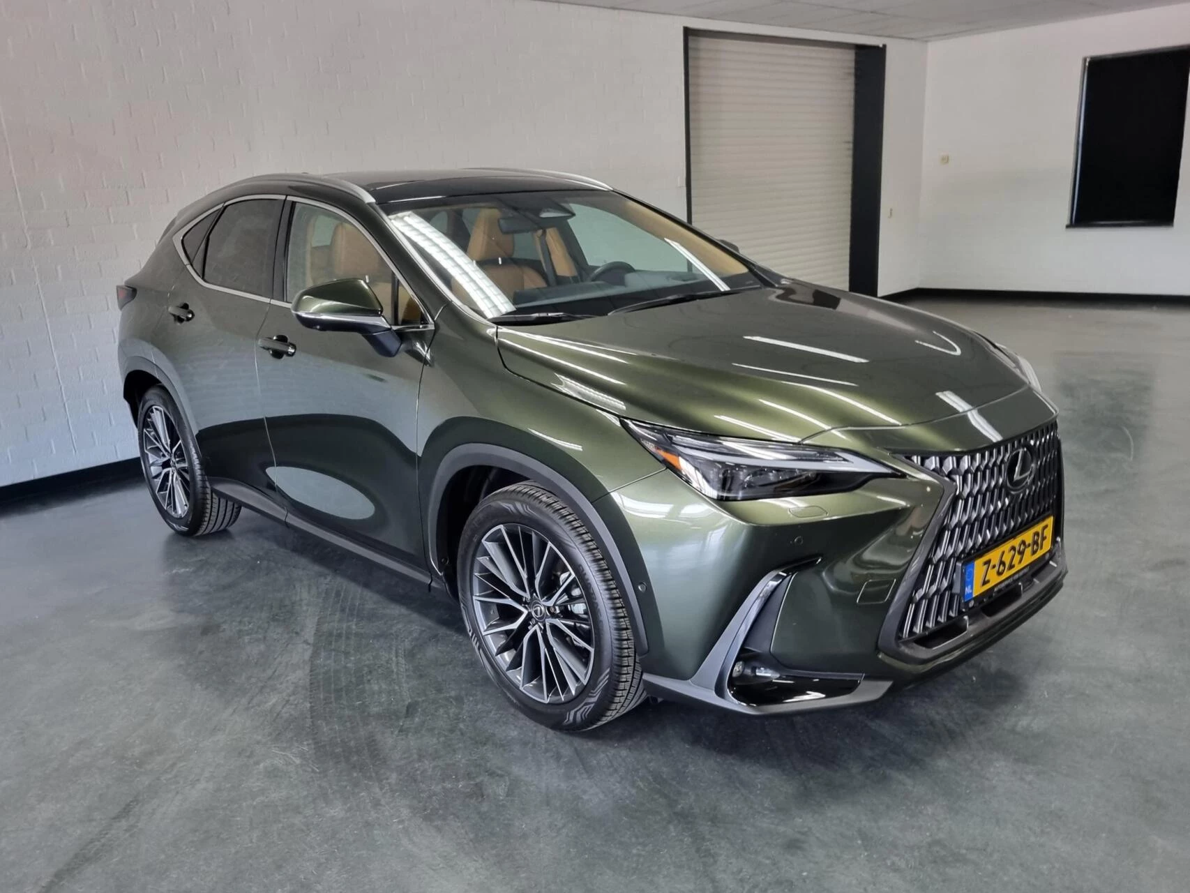 Hoofdafbeelding Lexus NX