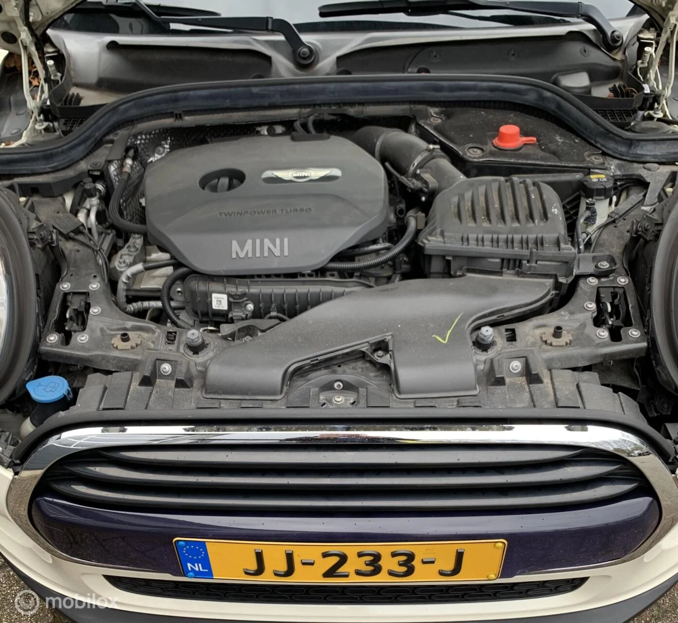 Hoofdafbeelding MINI Cooper