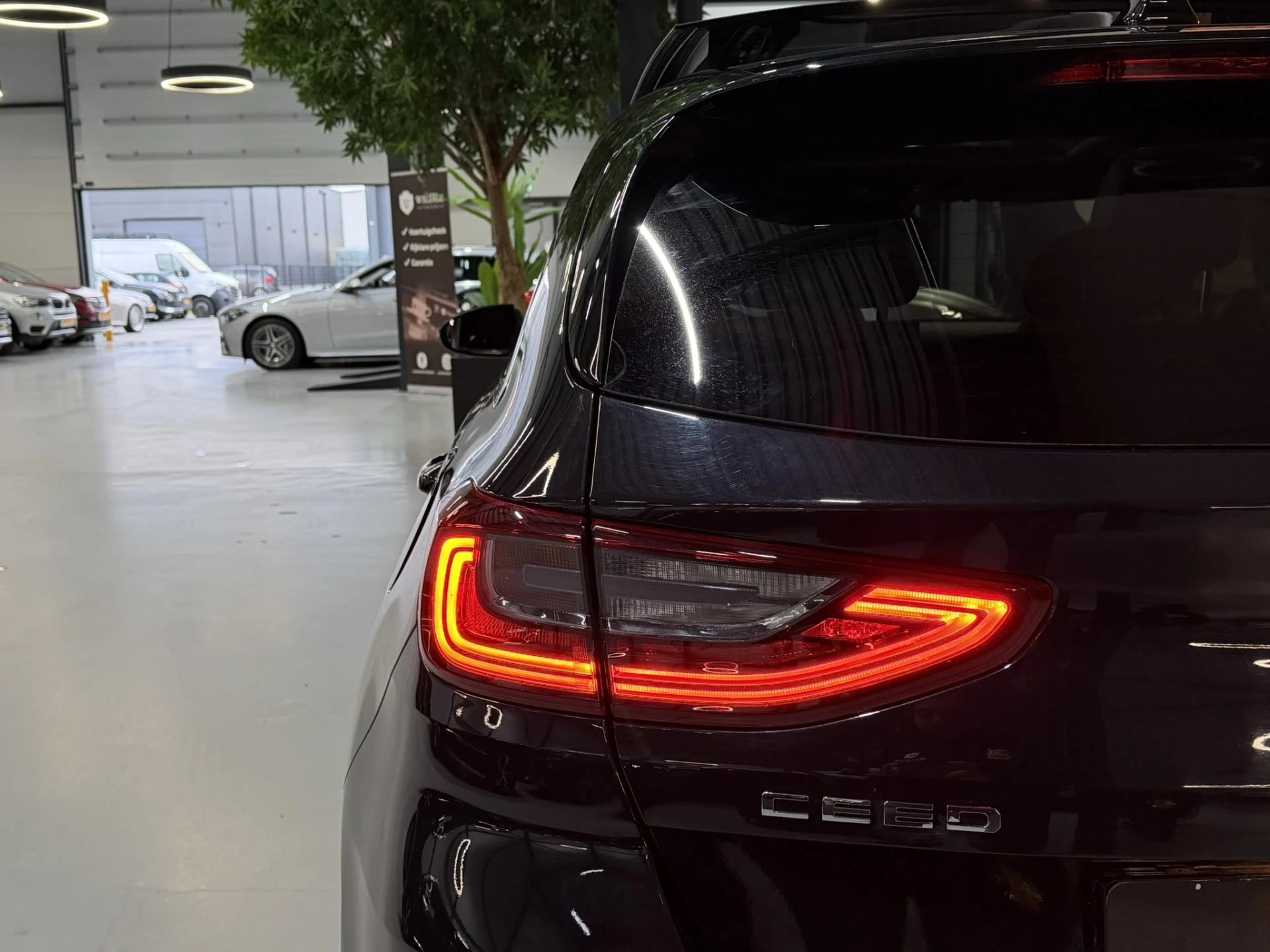 Hoofdafbeelding Kia Ceed