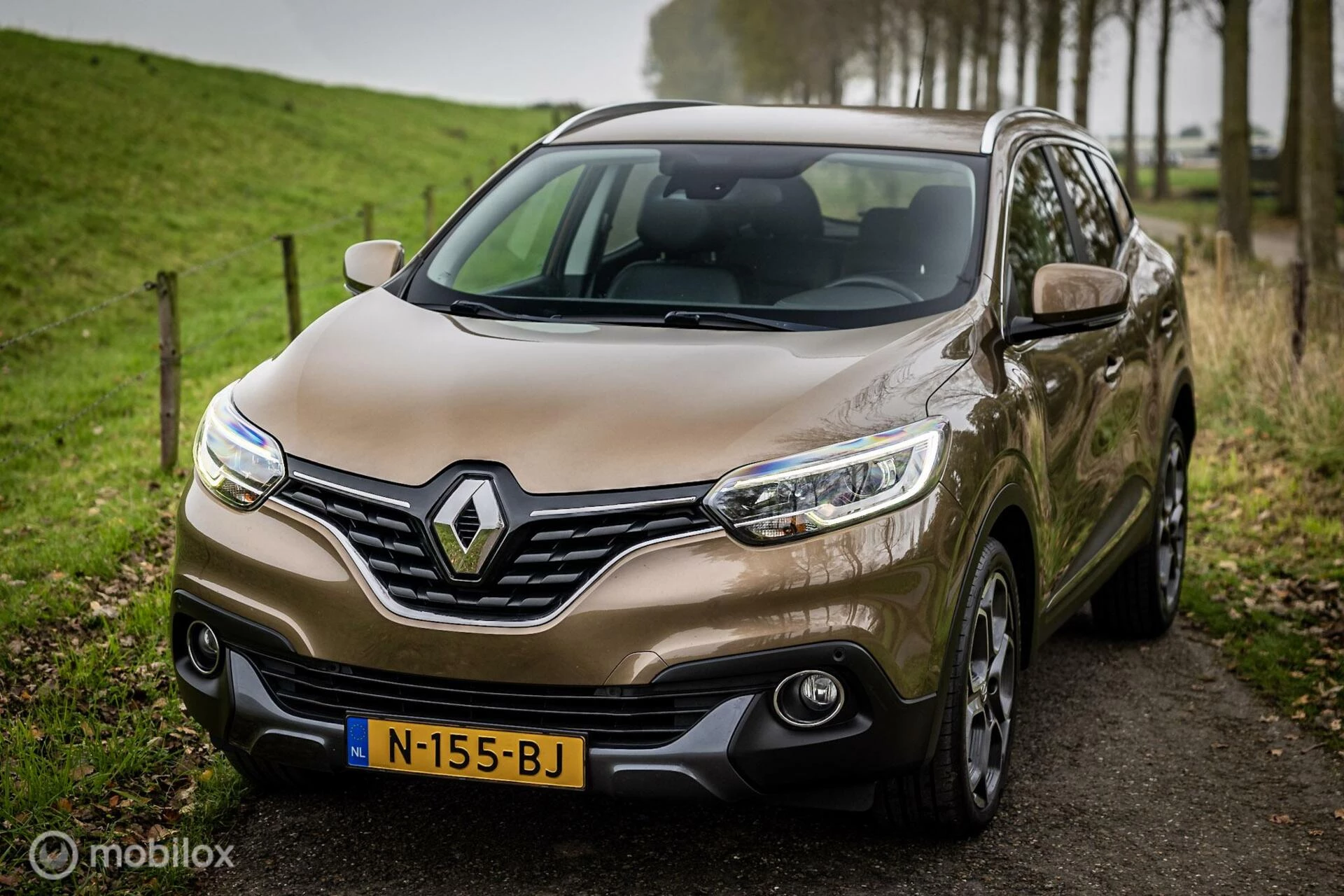 Hoofdafbeelding Renault Kadjar