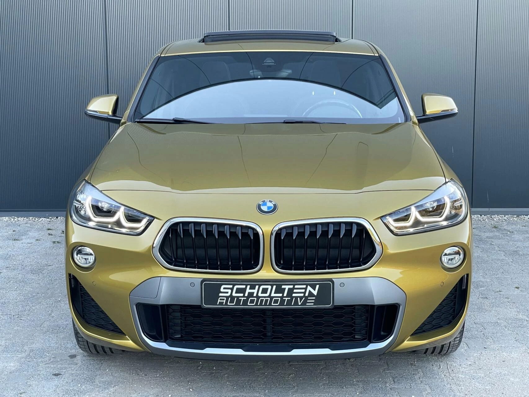 Hoofdafbeelding BMW X2