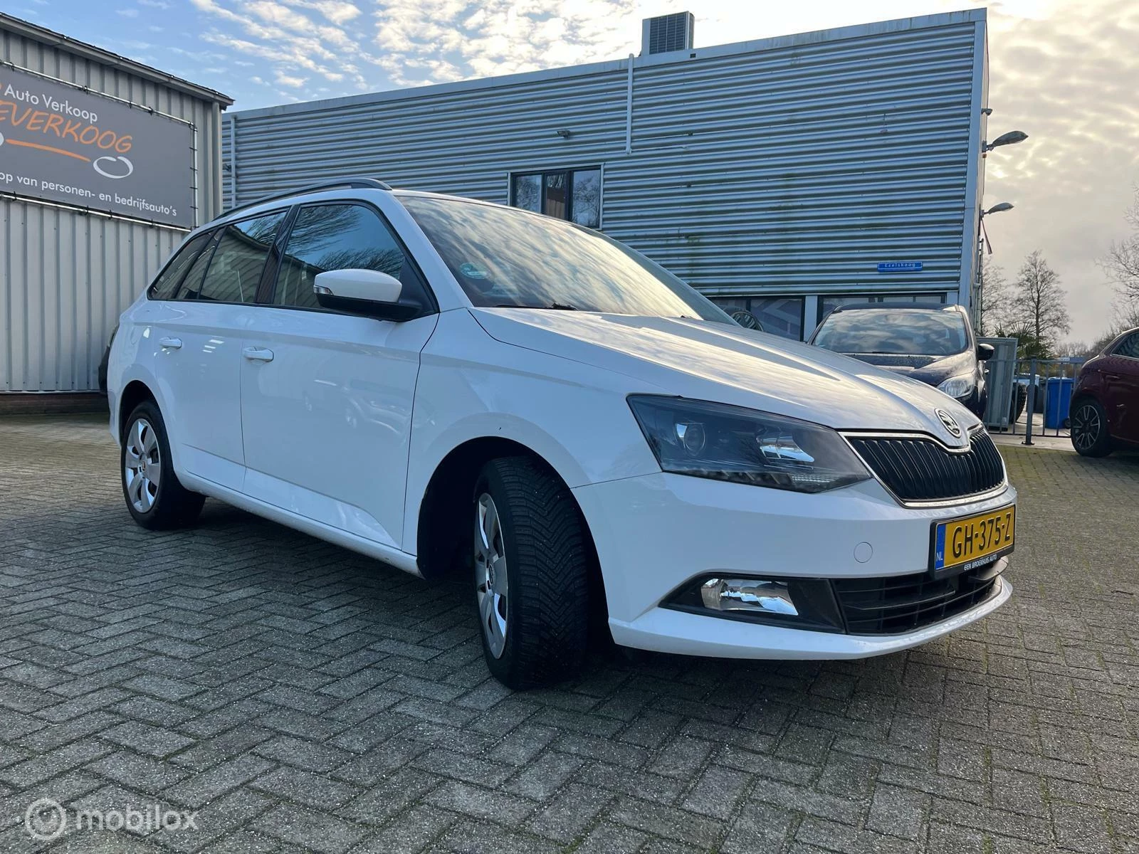 Hoofdafbeelding Škoda Fabia