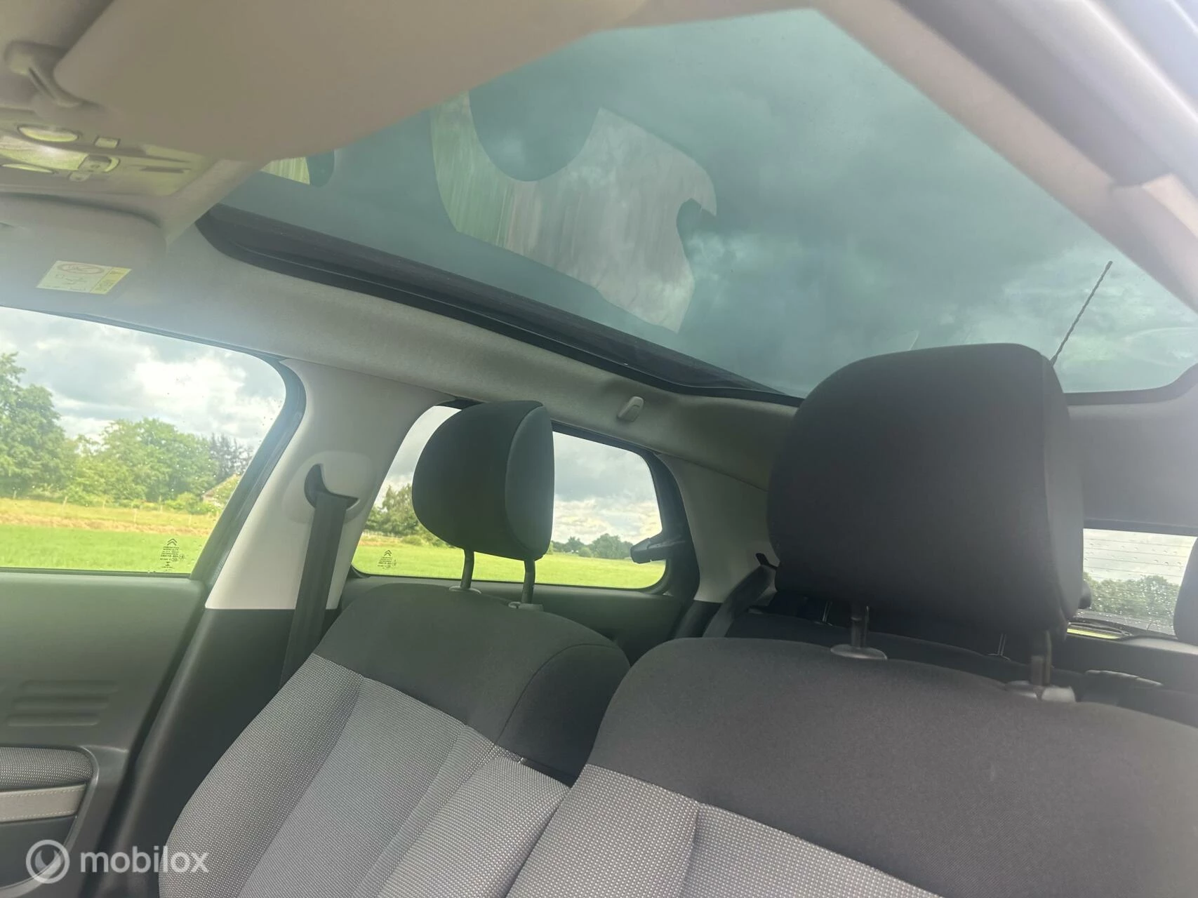 Hoofdafbeelding Citroën C4 Cactus