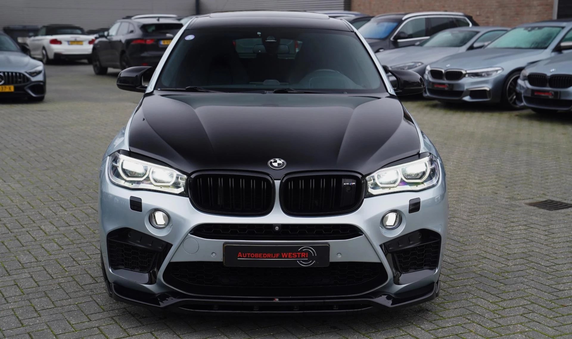 Hoofdafbeelding BMW X6