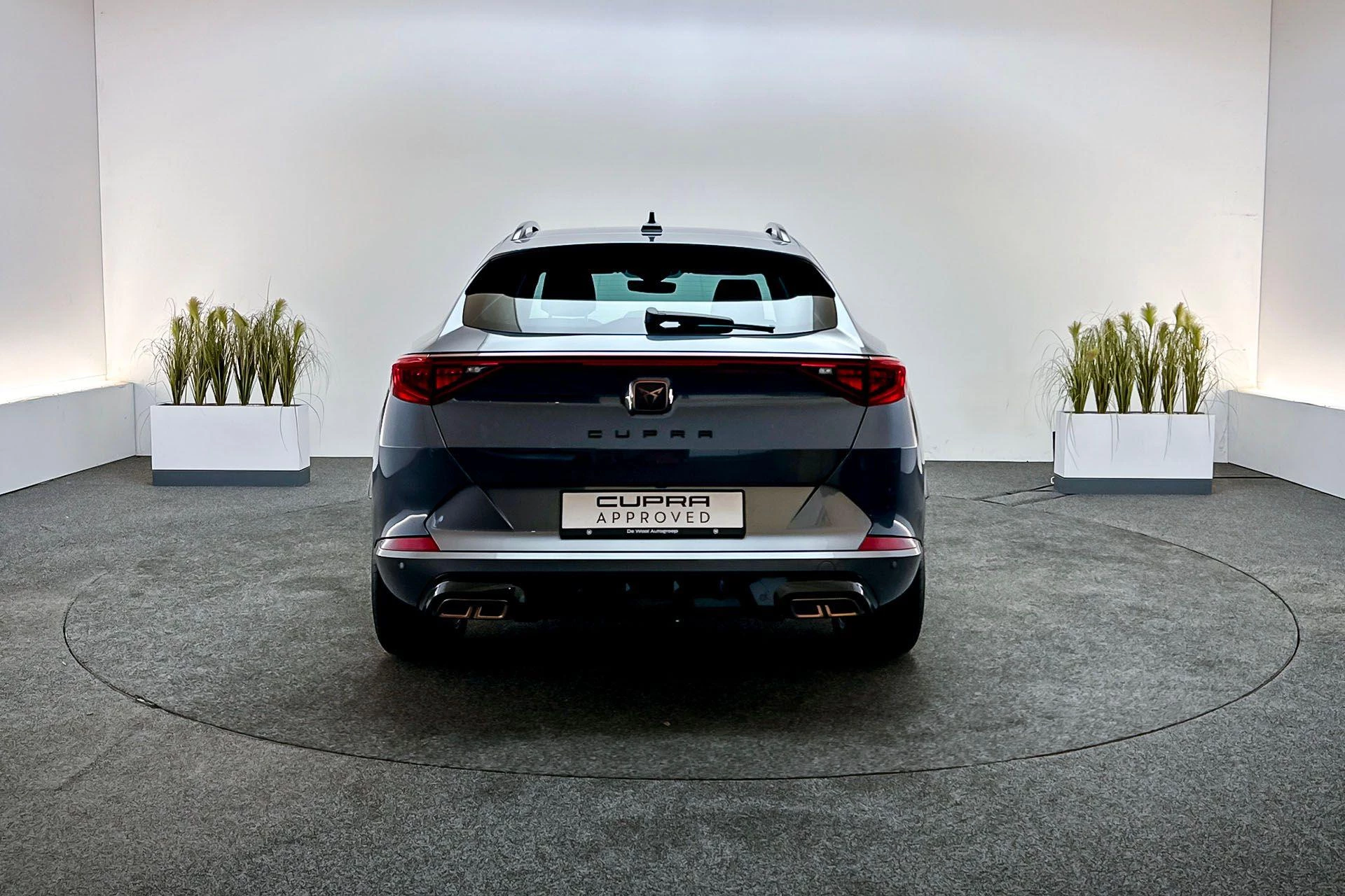 Hoofdafbeelding CUPRA Formentor