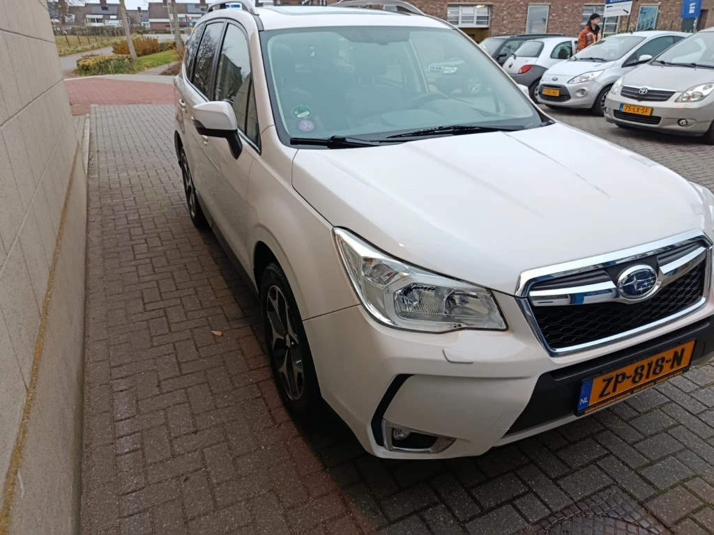 Hoofdafbeelding Subaru Forester