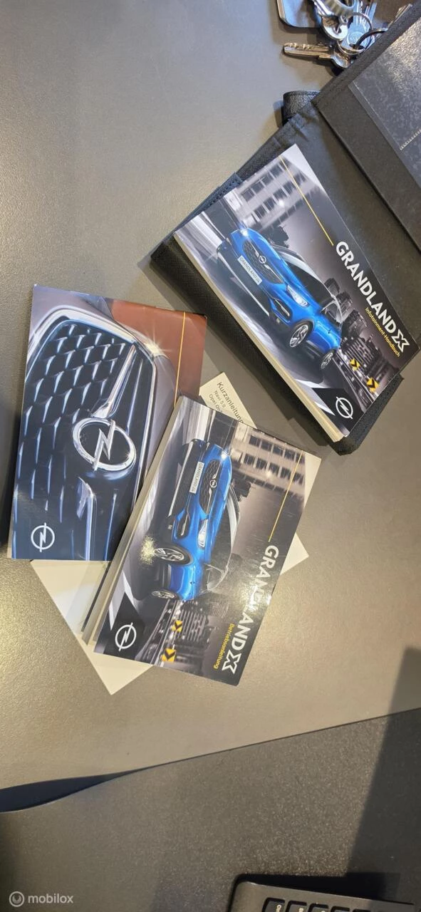 Hoofdafbeelding Opel Grandland X